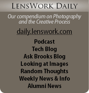 LensWork Daily