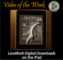 Video of the Week